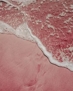 pink beach by simon