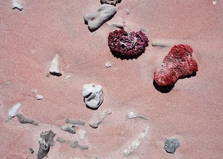 pink beach labuan bajo