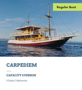 sewa kapal murah labuan bajo carpediem