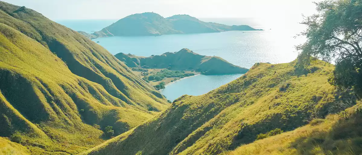 paket wisata labuan bajo - sewa kapal labuan bajo