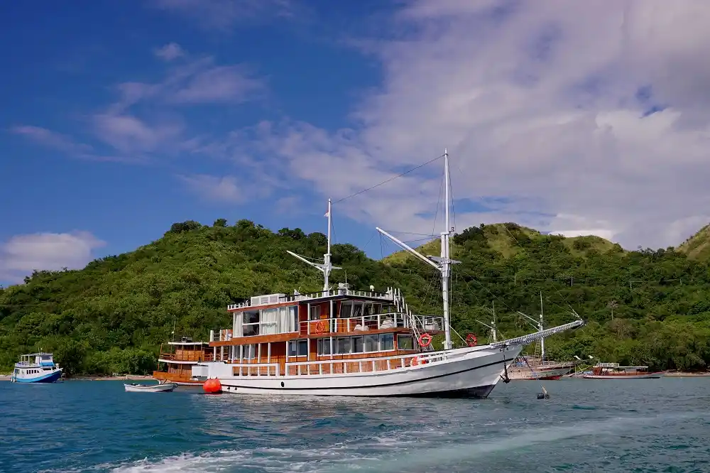 Charter kapal Labuan Bajo elysian