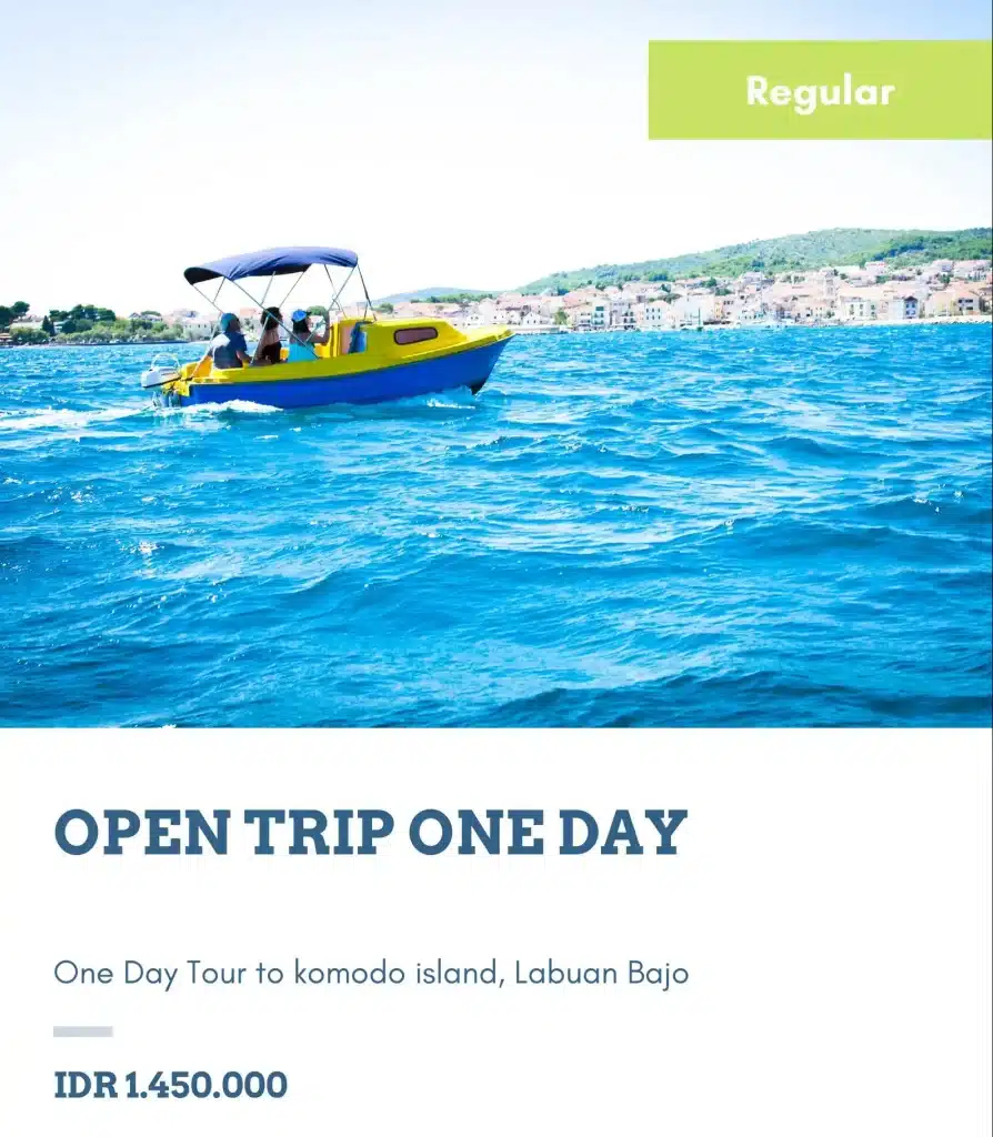 open trip fullday