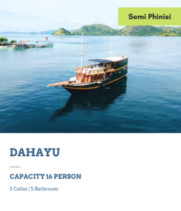 sewa kapal dahayu bajo