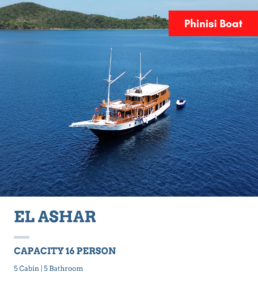sewa kapal el ashar